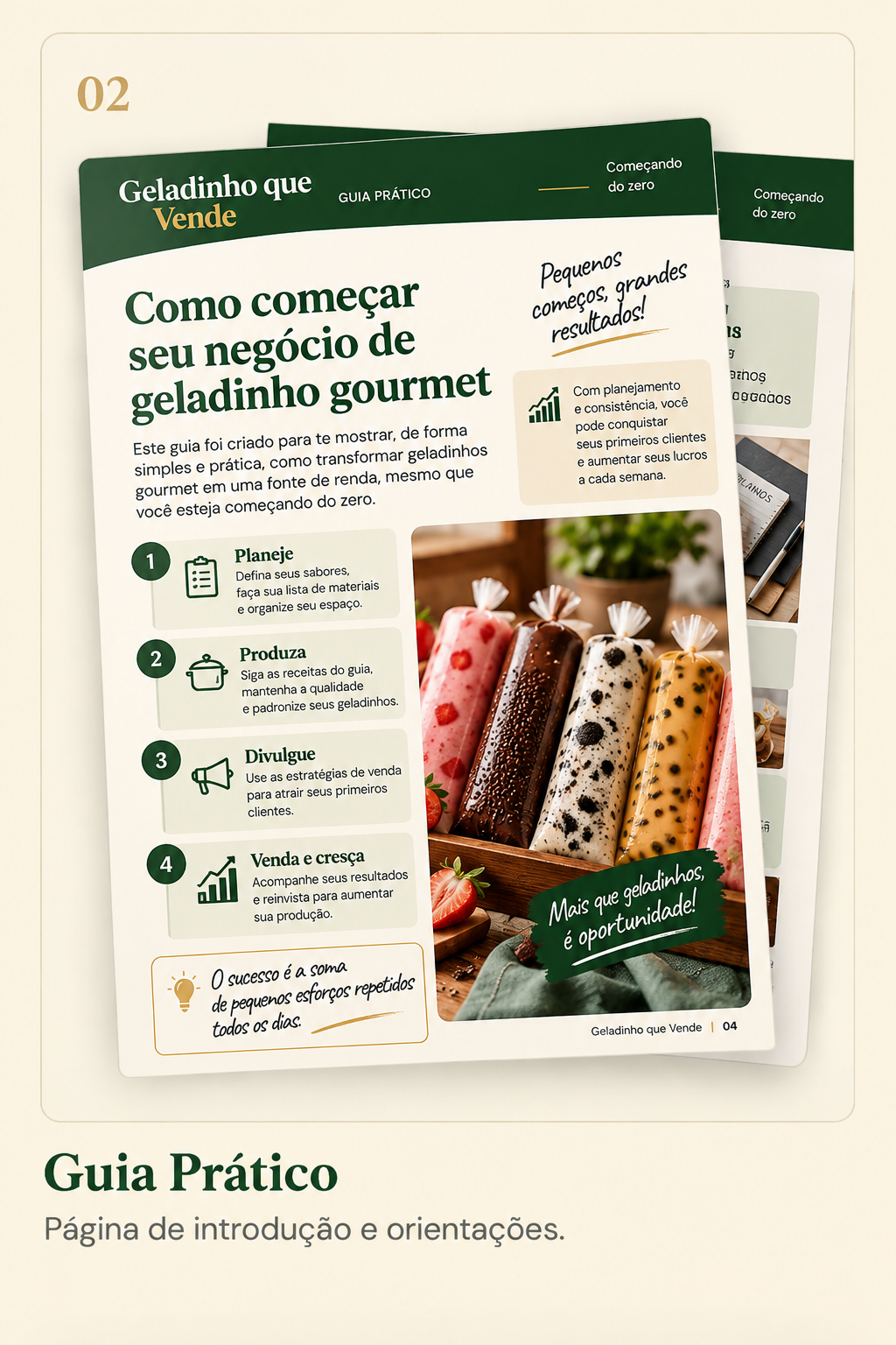 Guia Prático — introdução e orientações